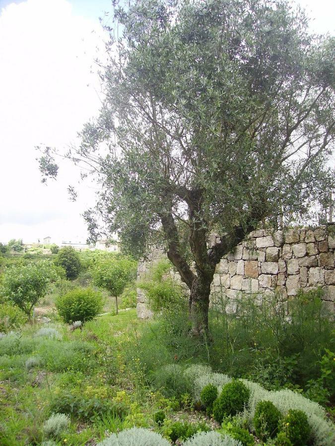 Oportonature Guilhabreu 外观 照片